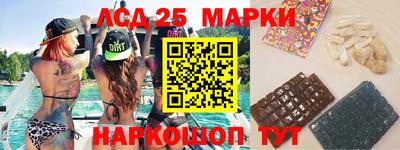 стаф Можга
