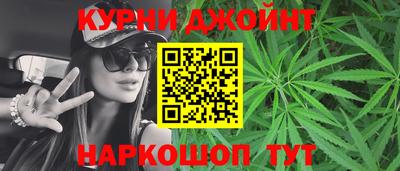 стаф Можга