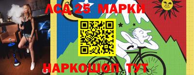 стаф Можга