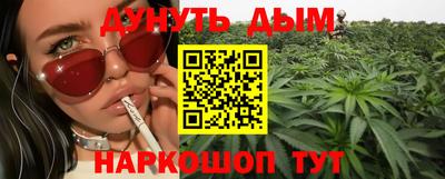 стаф Можга