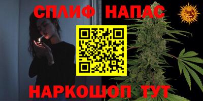 стаф Можга