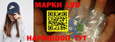 стаф Можга