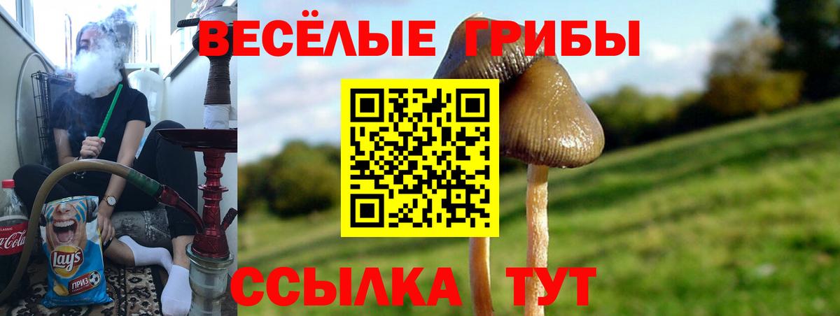 Псилоцибиновые грибы MAGIC MUSHROOMS  Вход с VPN  Псилоцибиновые грибы Magic Shrooms  Грозный 